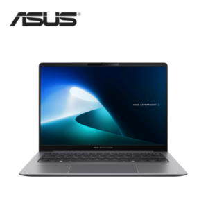 Asus ExpertBook P5 P5405CSA-NZ0763X